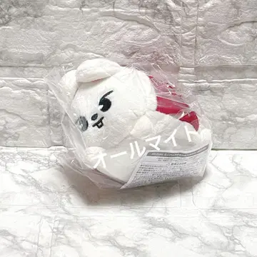 스키즈 백 참 Lee 비트 리노