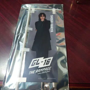 29821 THE RAMPAGE 이와타니 쇼고 미니 족자봉 새상품