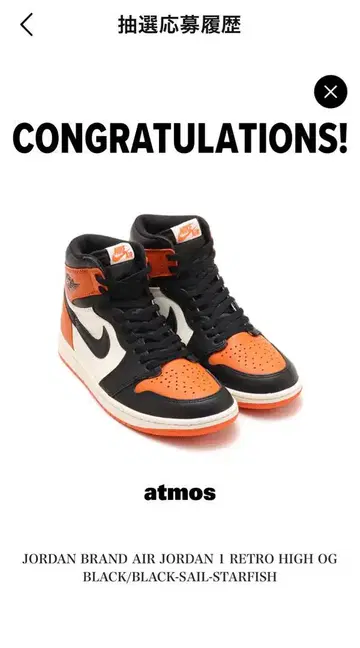 Air Jordan 1 Retro High OG 쉐터드 백보드
