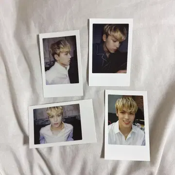세븐틴 버논 엣지 폴라로이드