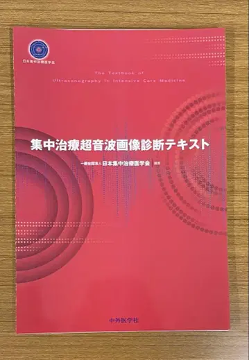 집중 치료 초음파 이미지 진단 텍스트