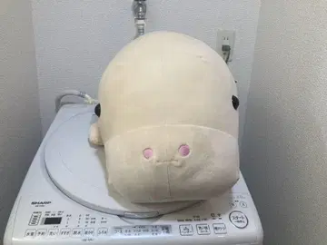 모치모치 주곤 봉제 인형 (특대형)