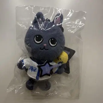 RIIZEPARK POPUP 키링 원빈 토냥 봉제 인형