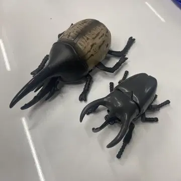 가부토와 사슴벌레 완구
