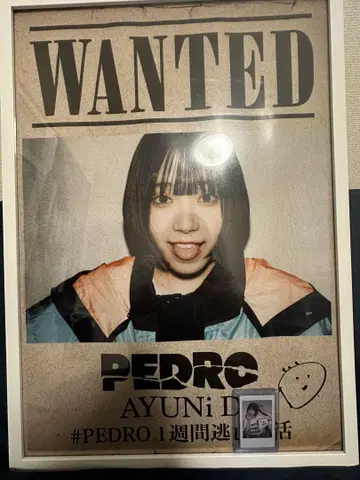 PEDRO AYUNi D 포스터 친필 사인 포함 가격 상담
