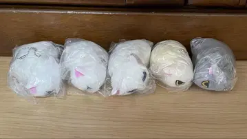 나츠카이 고양이 가챠가챠 세트
