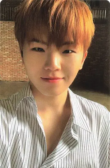 SEVENTEEN Begin WOOZI An Ode 파랑