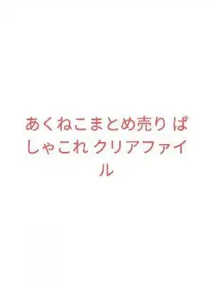 아쿠네코 파샤코레 클리어 파일 묶음 판매