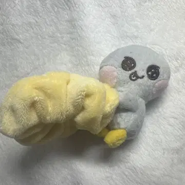 riize 라이즈 송용리 스크런치 은석