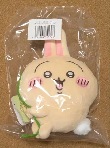 토끼가 가득한 복권 C상 쯔타