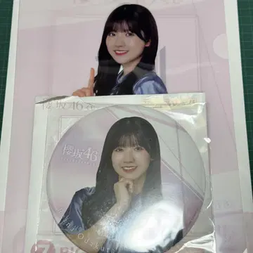 사쿠라자카46 복권 오다쿠라 레이나 클리어 파일 플레이크 씰