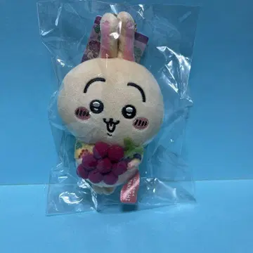 지역 특산품 치이카와 (먼작귀) 야마나시 한정판 토끼