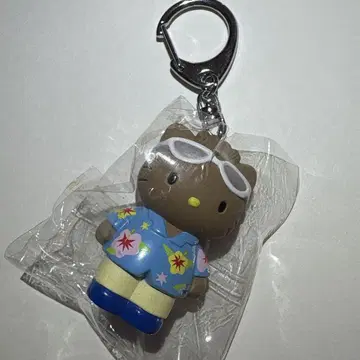 레어 희귀 헤이세이 레트로 산리오 오키나와 한정판 일광화상 다니엘 키링