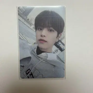 승민 christmasevel 라키드로