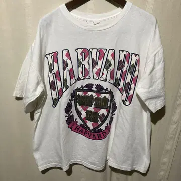 80s HARVARD 하버드 대학 칼리지 빈티지 티셔츠