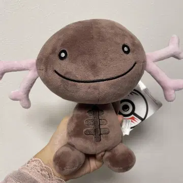 포켓몬 파르데아우파 봉제 인형 택 포함