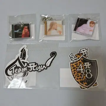 Team Fly 키링 5종 세트