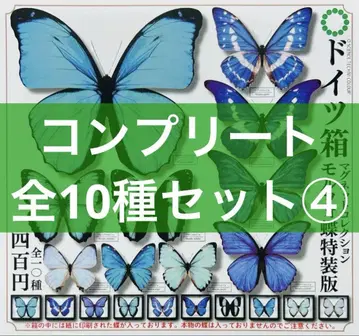 배송비 포함 독일 상자 마그넷 컬렉션 모르포 나비 특장판 총 10종 컴프