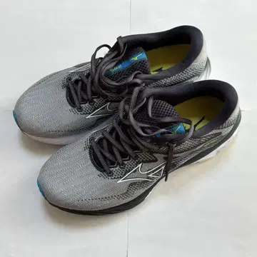 MIZUNO (미즈노) 웨이브 라이더 27 (25.5cm)