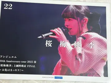 안주루무 벚꽃 매실 복숭아 핑포스 22