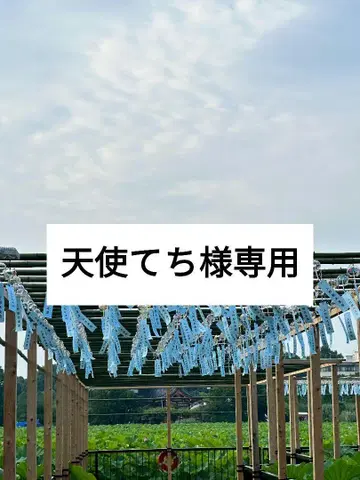 [세계 12벌 한정판] 레어 스카잔 DANDADAN 애니메이션 M 사이즈