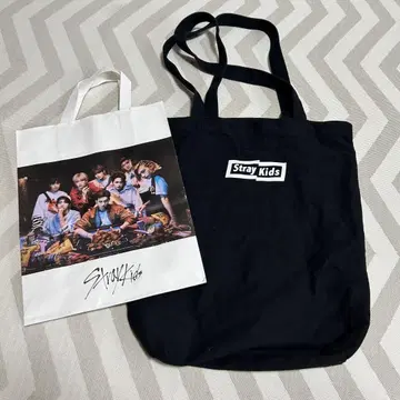 Stray Kids WEGO 토트백