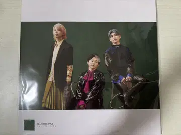 Mrs. GREEN APPLE 10 LP 사이즈 사진 포스터 19장 세트