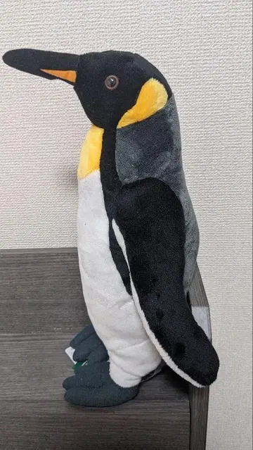 킹 펭귄 봉제 인형 (가사이 임해 수족관) 무료배송