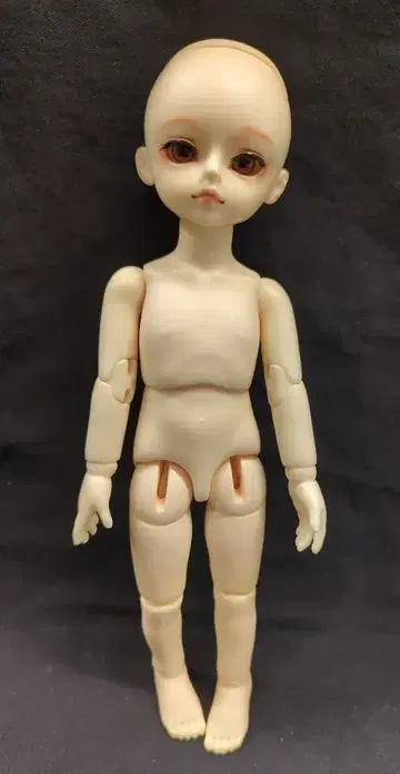 루츠 허니 델프