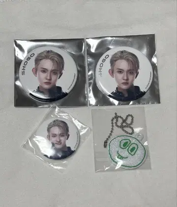 타지마 쇼고 XQUARE 캔뱃지 미니 캔뱃지 키링