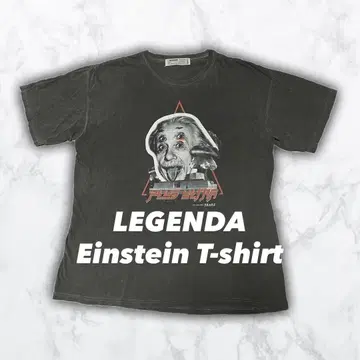 LEGENDA 레전드 티셔츠 아인슈타인 페이드 데미지