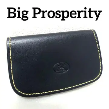 새상품 Big Prosperity 명함지갑 카드 케이스