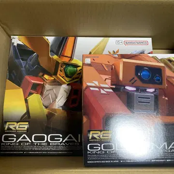 RG 가오가이거 & 골디마그 세트