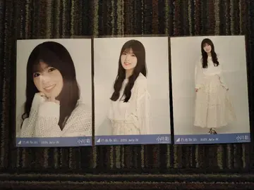 오가와 아야 메쉬 니트 브로마이드 컴프