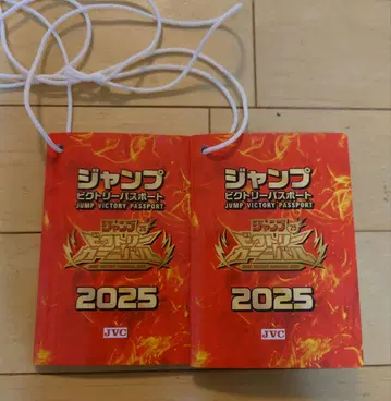점프 빅토리 여권 2025 점프 페스타 빅토리 카니발