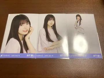 메쉬 니트 모리히라 레이신
