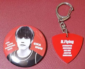 FNC BAND KINGDOM N.Flying 엔플라 캔뱃지 피크