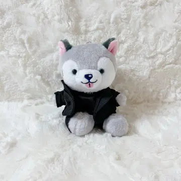 노킹 온 락 도어 앉은 봉제 인형 타오리견 노키도어 마쓰무라 호쿠토