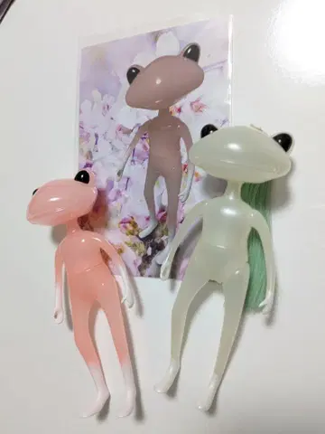원더 프로그