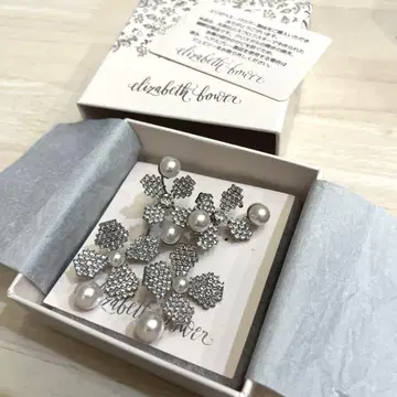 엘리자베스 바우어 elizabeth bower 귀찌 실버