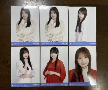 노기자카46 메쉬 니트 브로마이드 묶음 판매