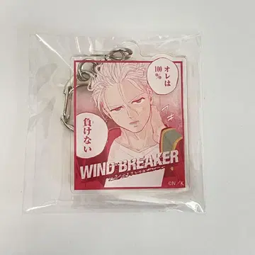 WIND BREAKER 매실 궁일 메모리즈 키링 윈브레