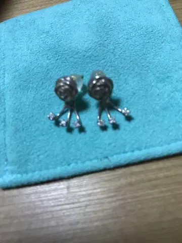 장미 귀걸이