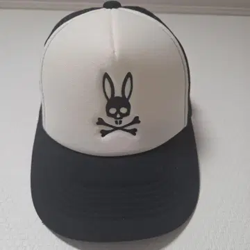 메쉬 캡