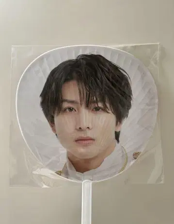 초특급 하루 부채