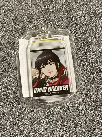 WIND BREAKER 아크릴 키링 츠바키노 유