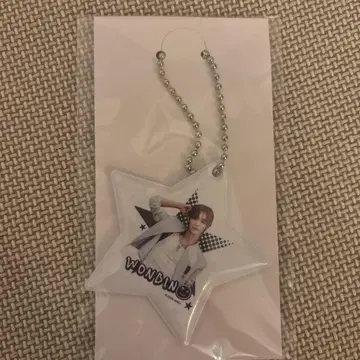 RIIZE 라이즈 랜덤 토이 PVC 참 원빈