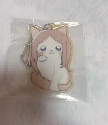 재미있는 고양이 아크링 키링 나가사키 소요