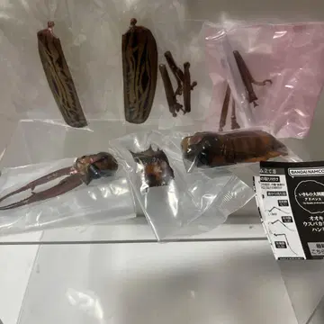 생물대도감 어드밴스 오오키바우스바카미키리(라이트)