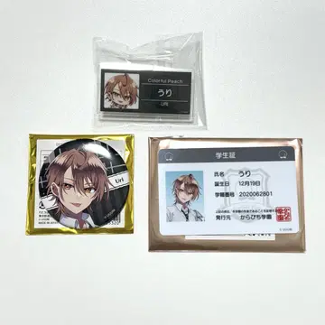 컬러풀 피치 우리 카라피치 파라다이스 명찰 캔뱃지 학생증 묶음 판매